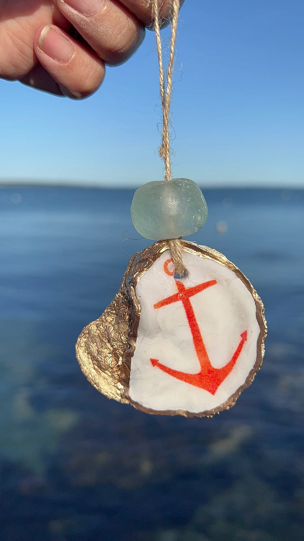 Seahorse Oyster shell Ornament. Seashell christmas ornament.
