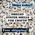 DRILLED OYSTER SHELLS. Christmas craft activity. Wedding craft. Shell ornament.