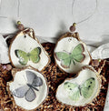 Butterfly shell Ornament gift set. Butterfly oyster shell favor
