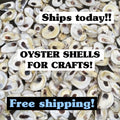 OYSTER SHELLS for Crafts. Shell ornament DIY.