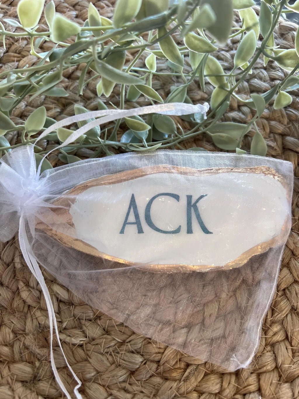 ACK NANTUCKET oyster ring dish beachy party favor. Nantucket party favor shell dish