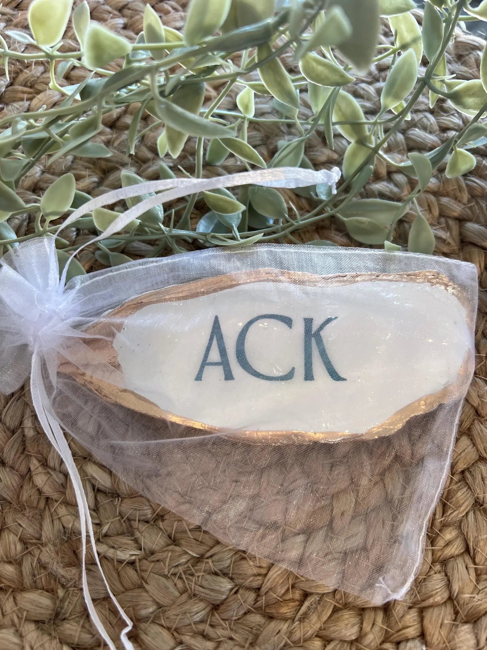 ACK NANTUCKET oyster ring dish beachy party favor. Nantucket party favor shell dish
