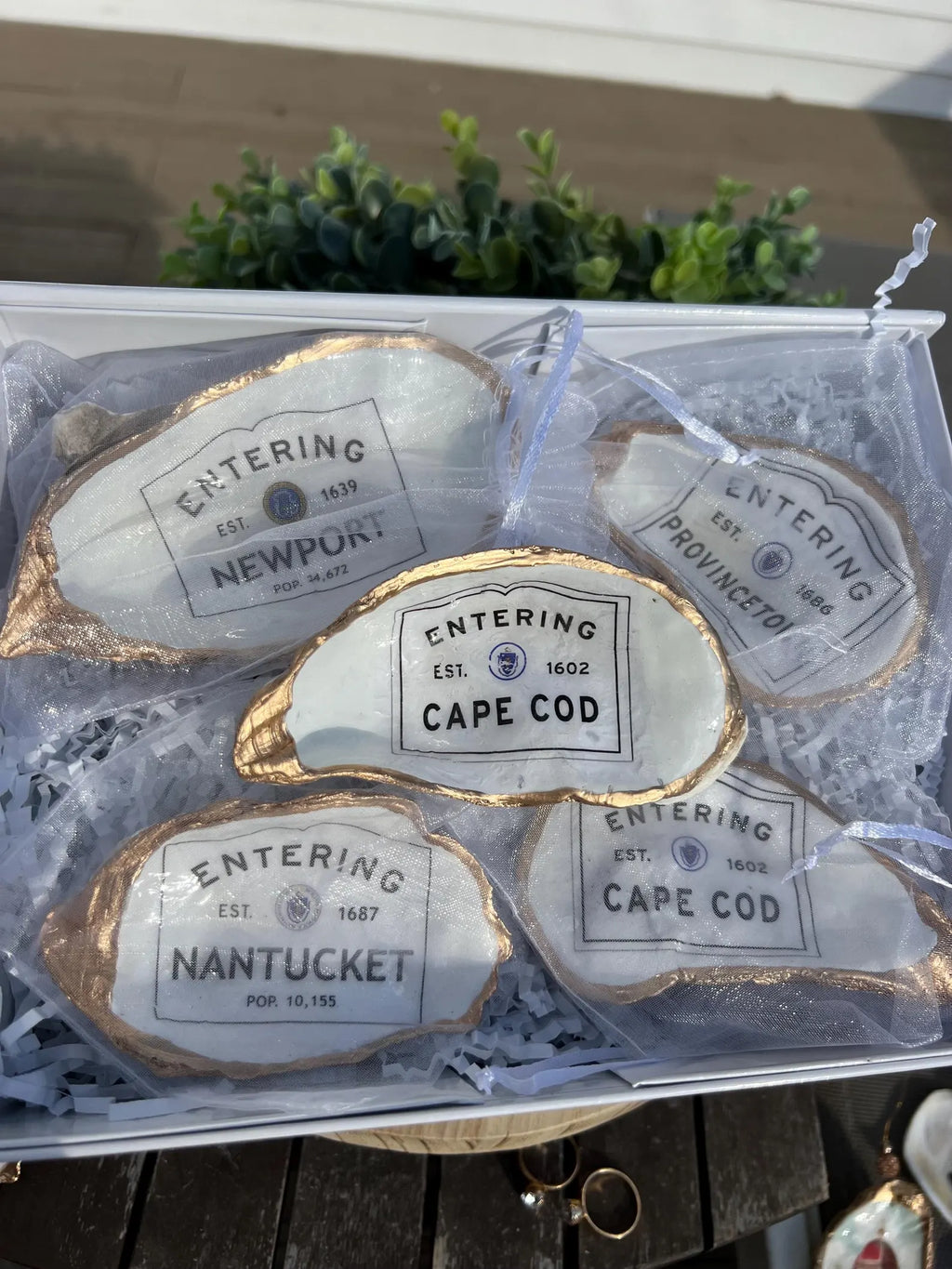 Nantucket wedding favor. Nantucket oyster ring dish favor