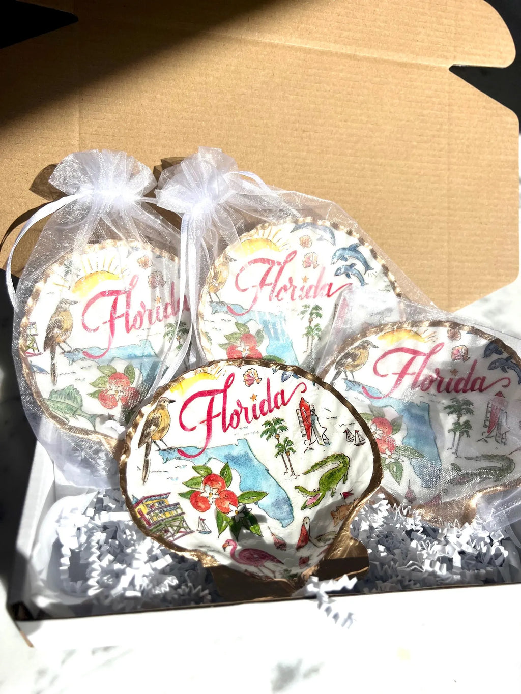 Florida shell ring dish