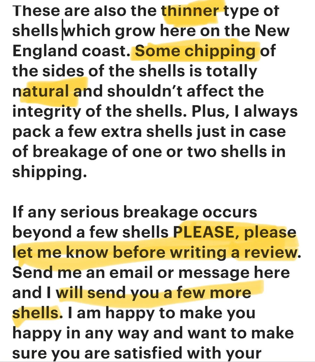 OYSTER SHELLS for Crafts. Shell ornament DIY.