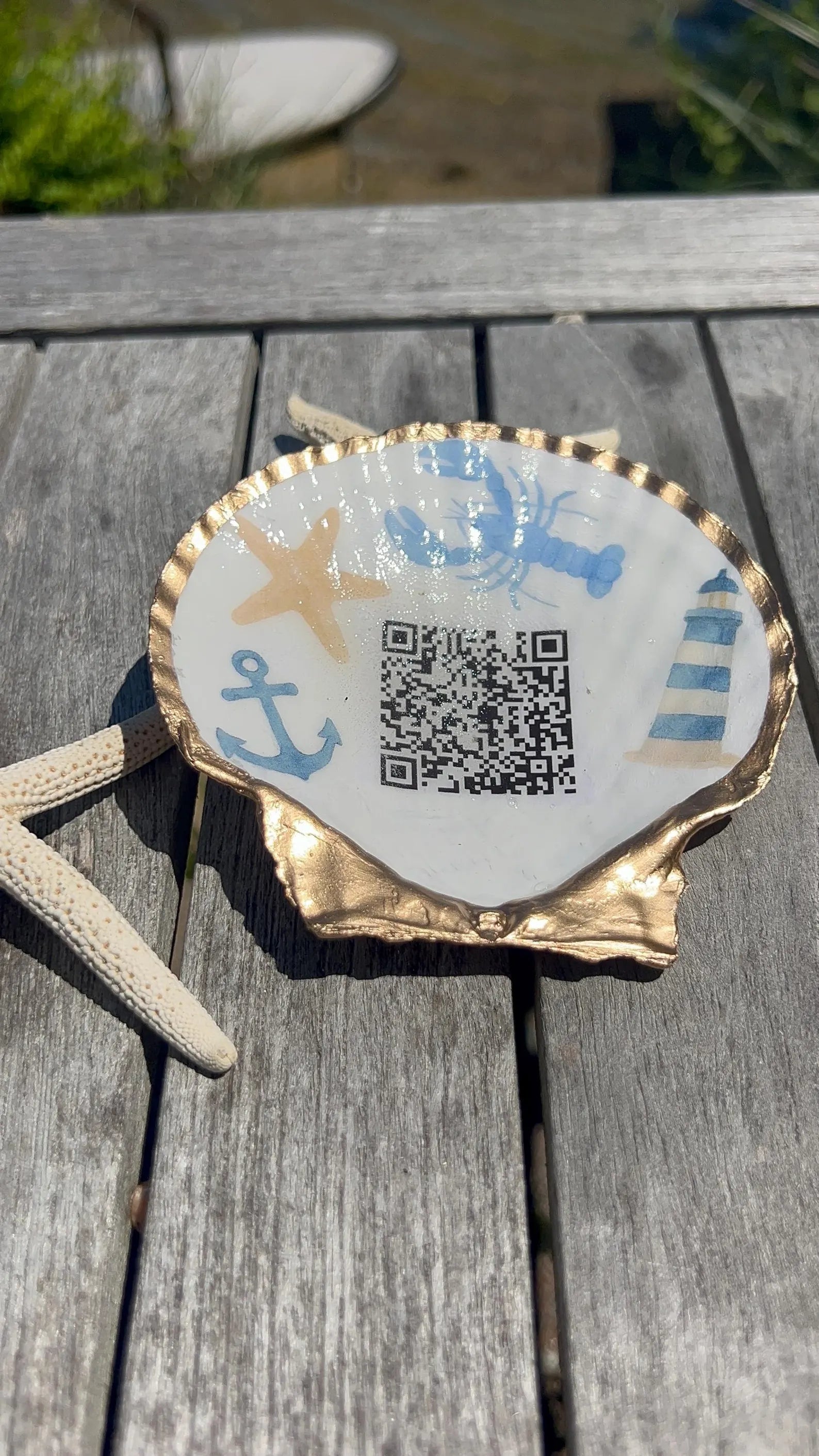 QR Code Shell Display