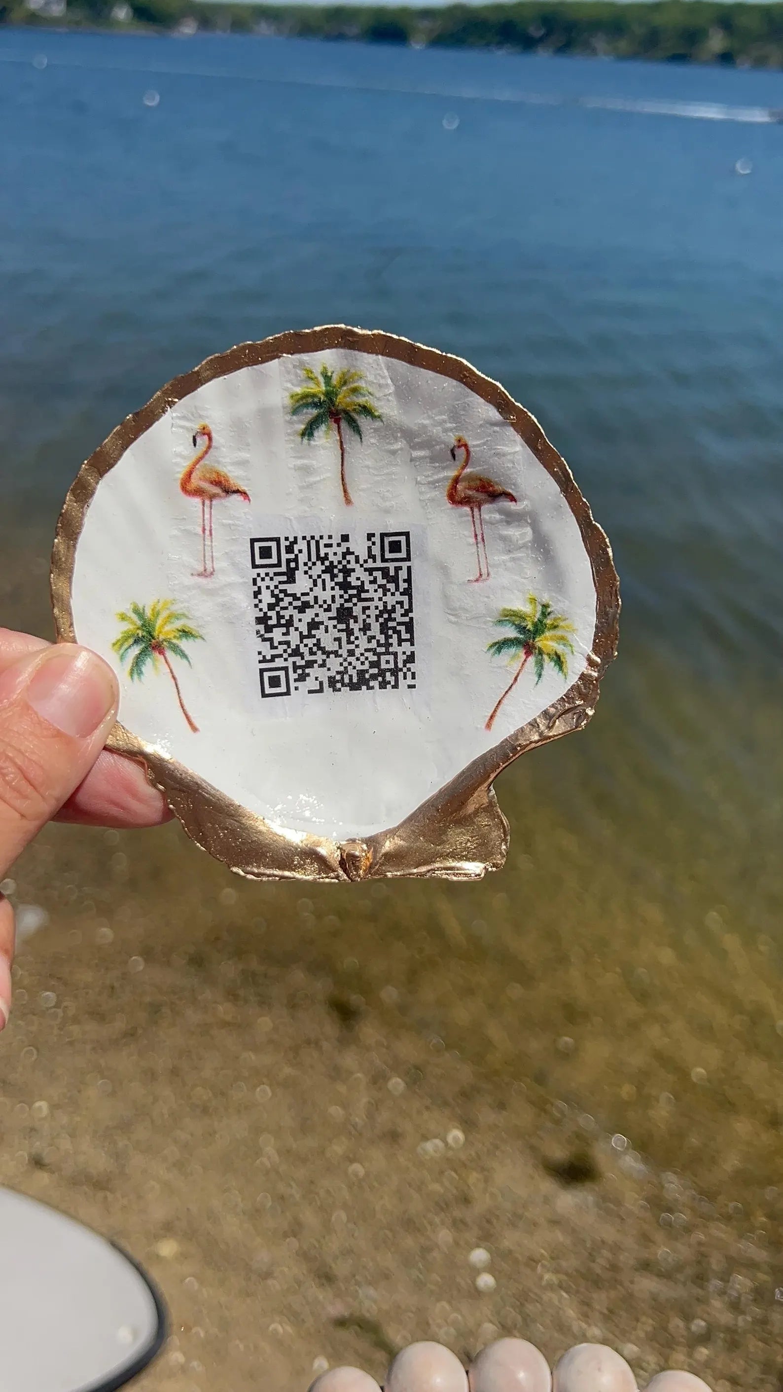 QR Code Shell Display