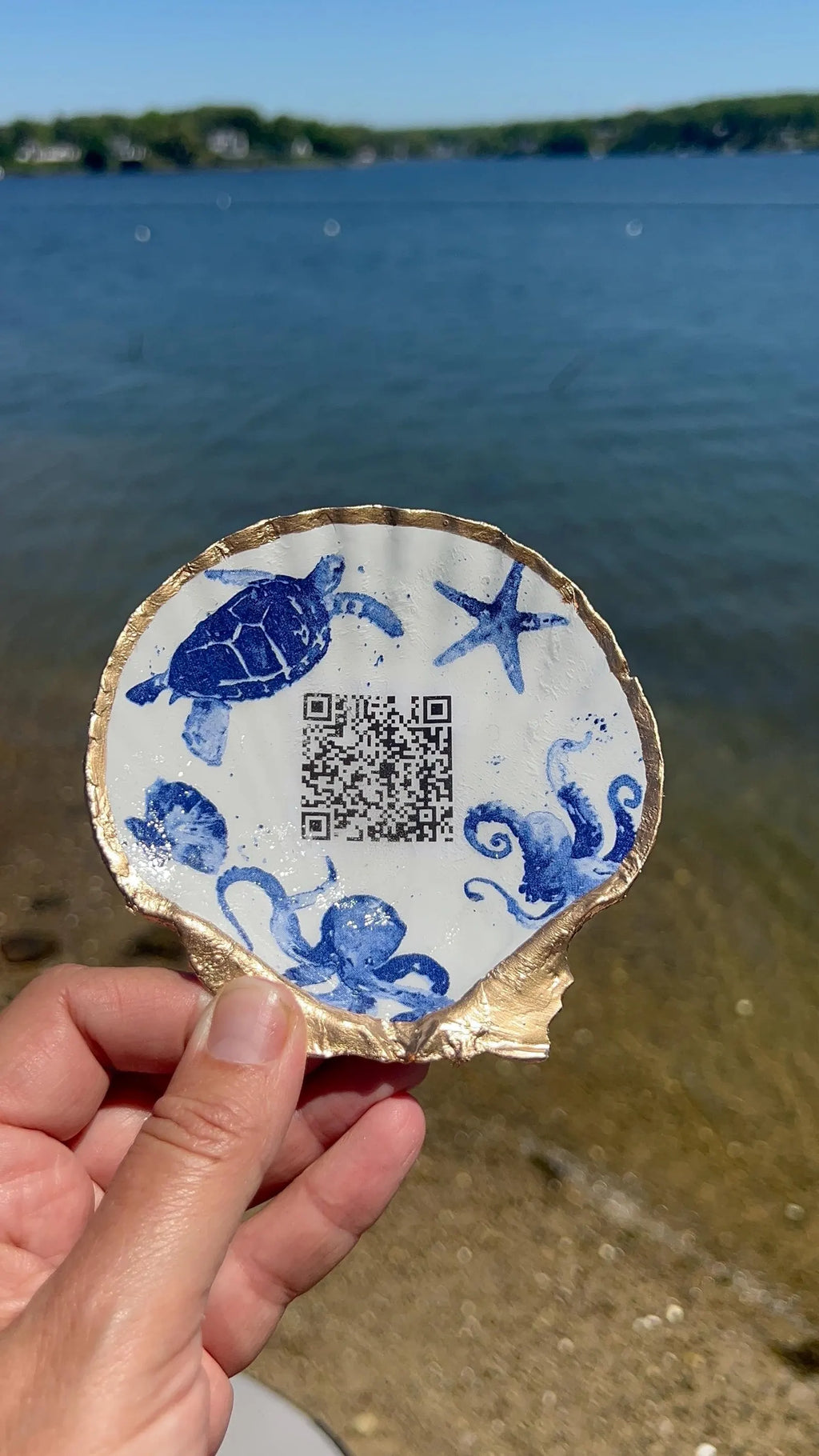 QR Code Shell Display