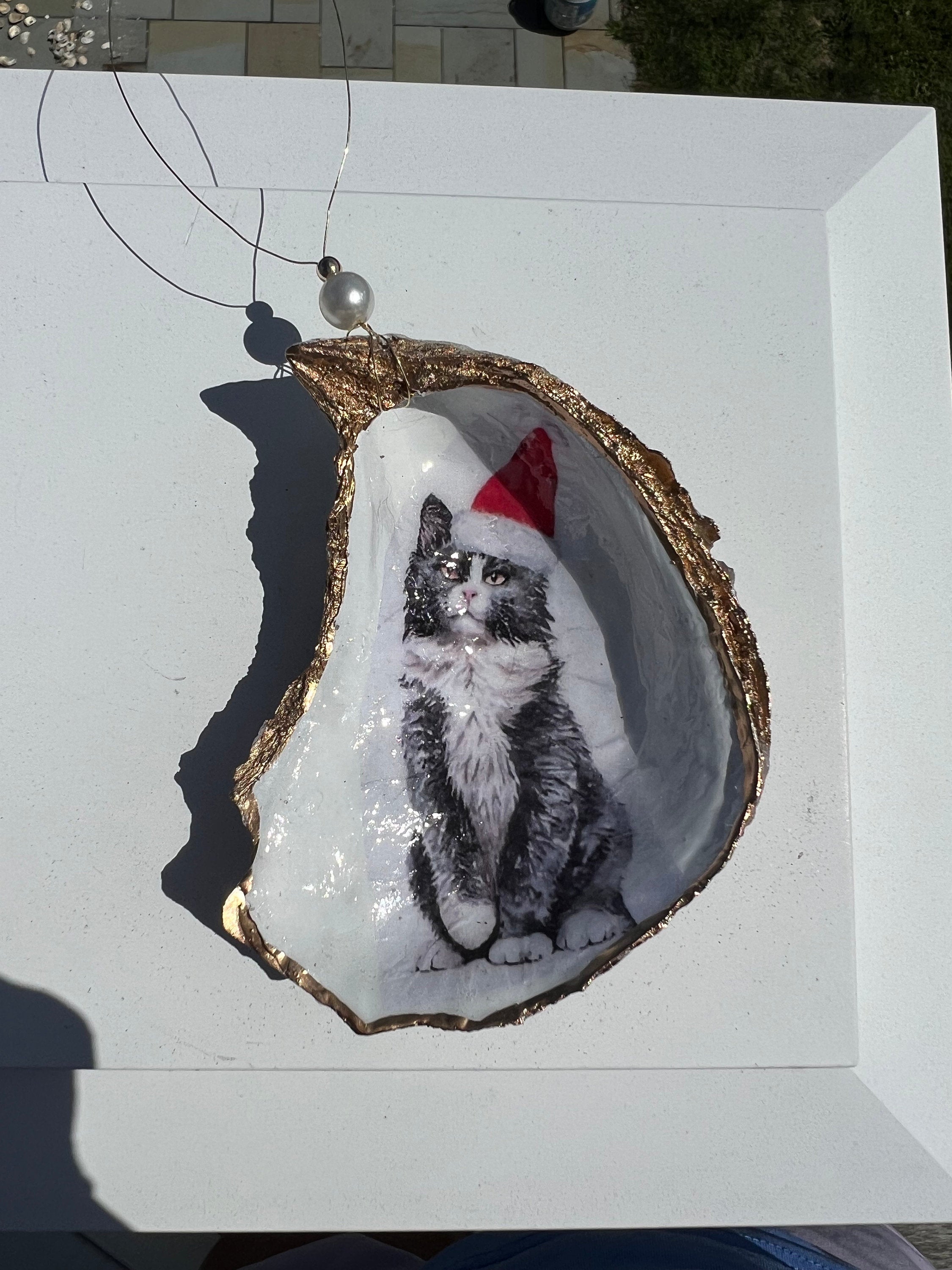 Cat Person Cat party idea. Cat Oyster Shell Christmas Ornament for Cat person or cat lover. Decoupaged Oyster ornament & cat party present