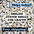 Picture of a pile of clean oyster shells with the words oyster shells for Crafts